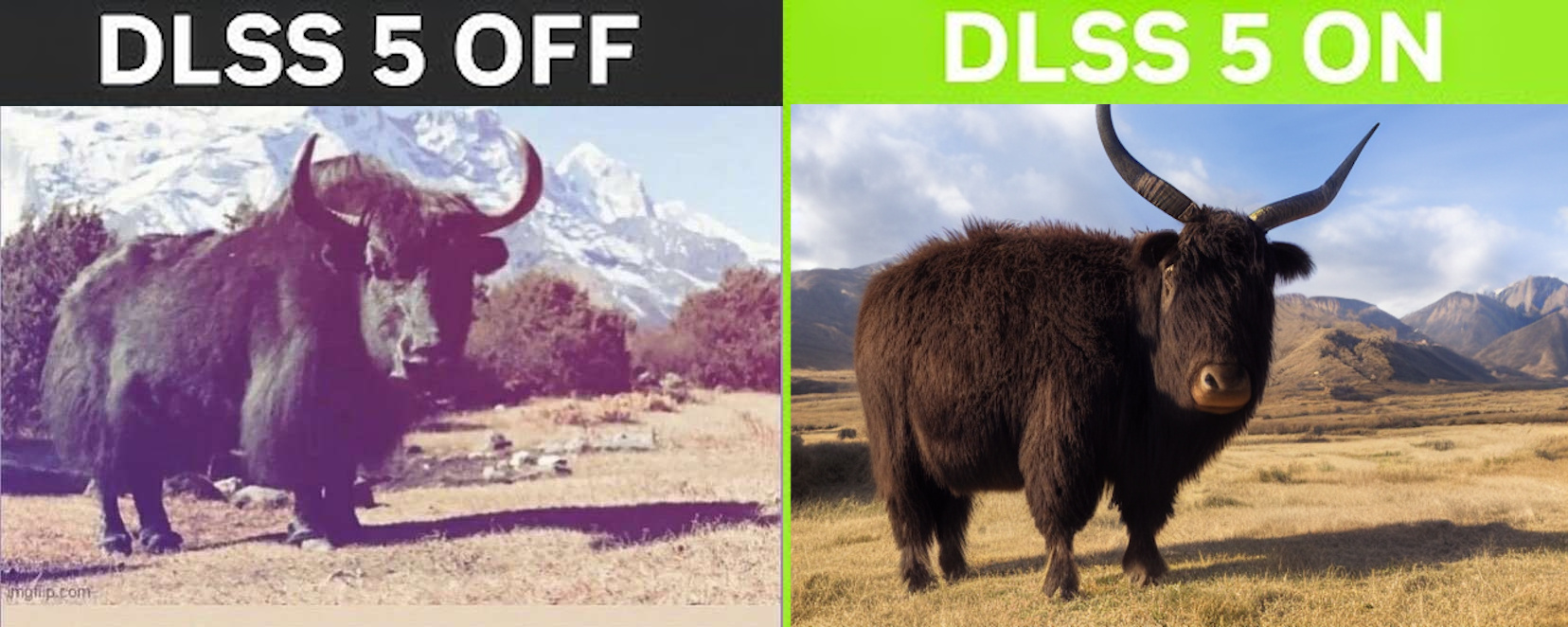 Cover image for In Defense of DLSS 5